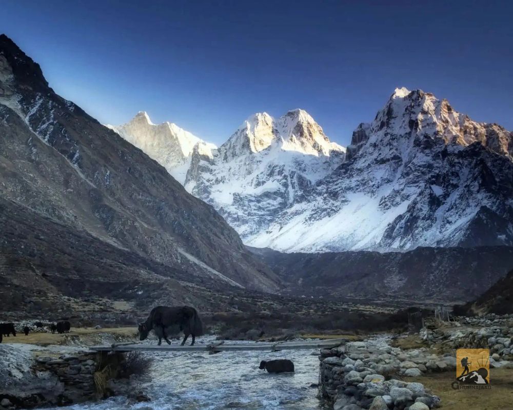 Kanchenjunga Base Camp Trek